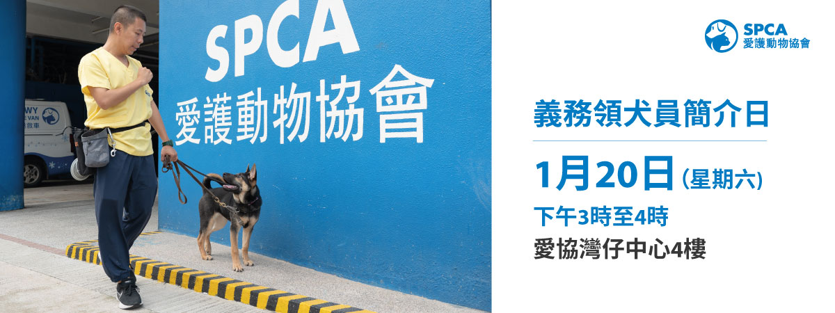 DogWalkerVolunteerOrientationDay_1200x450