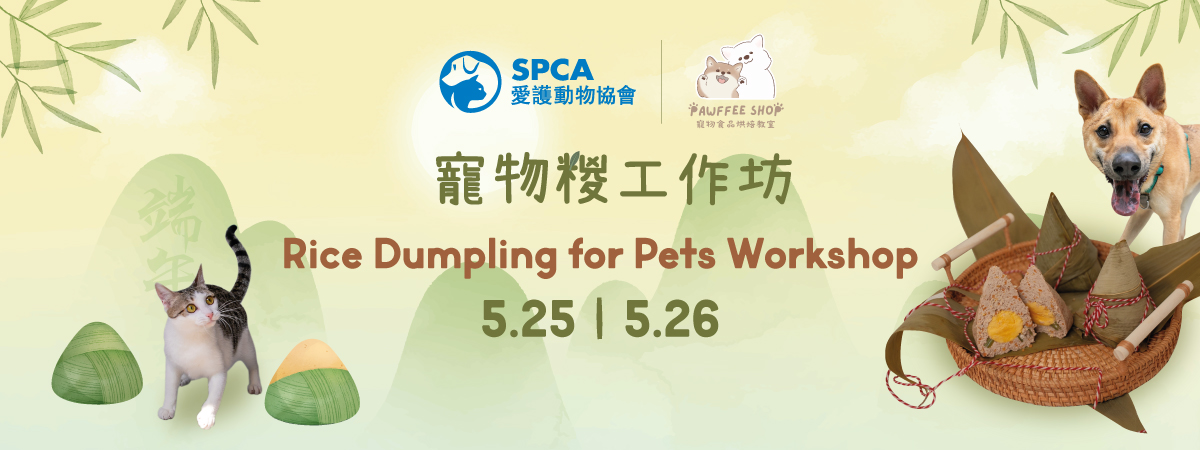 rice-dumpling_1200x450 1