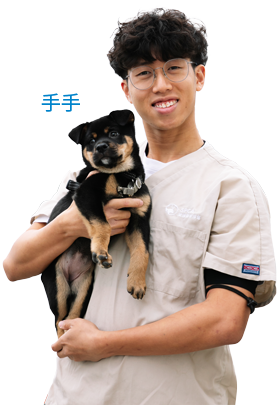 trainer_t2_chi