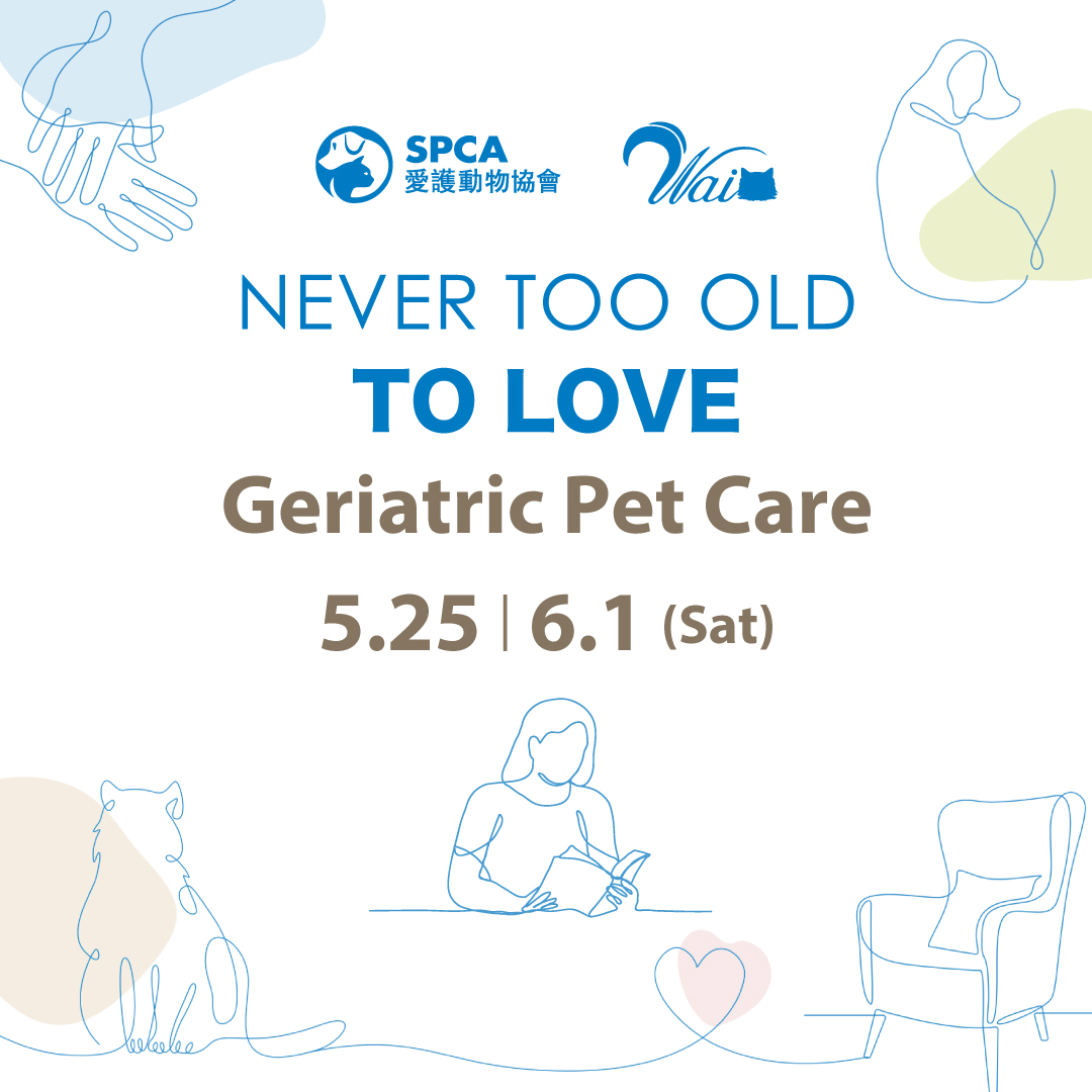 Geriatric Pet Care SPCA