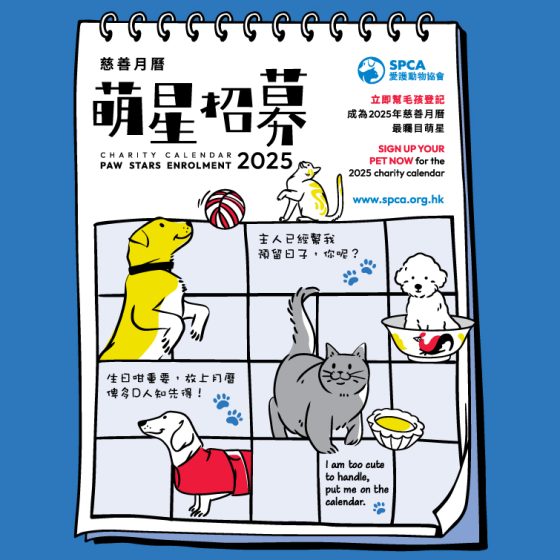 Home SPCA SPCA