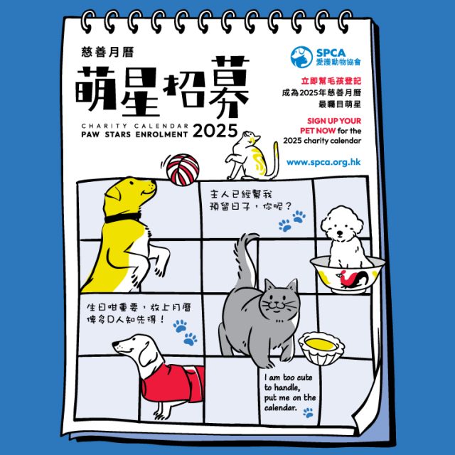 Home SPCA SPCA