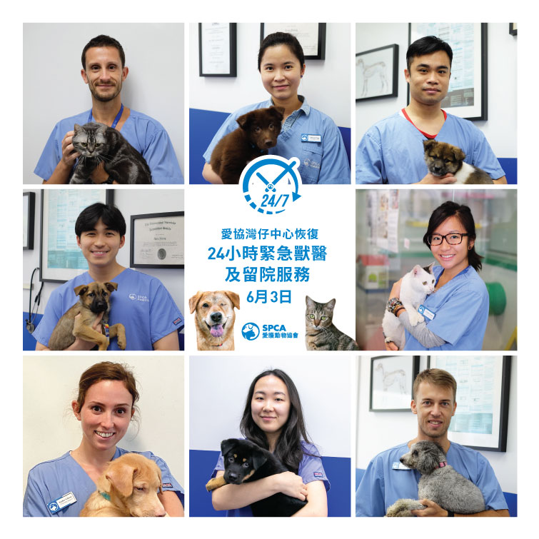 vetservice_reopen_755x755_TC