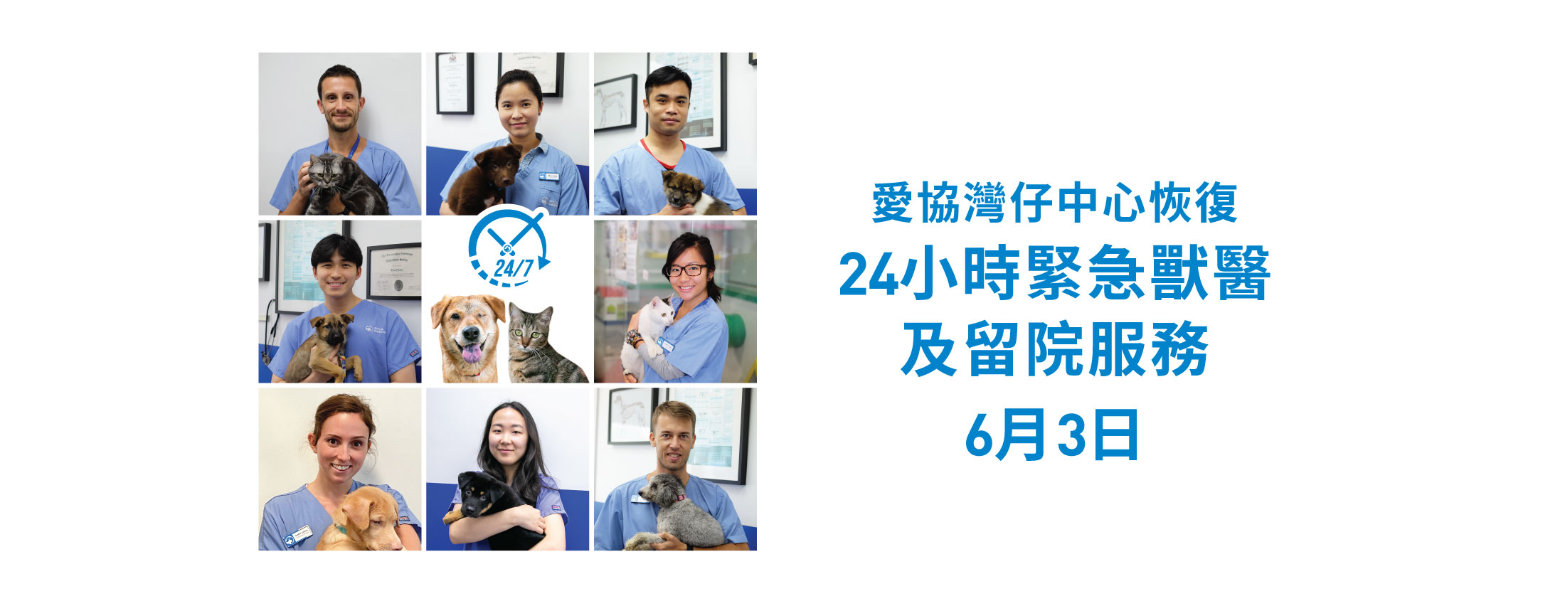 vetservice_reopen_web_2