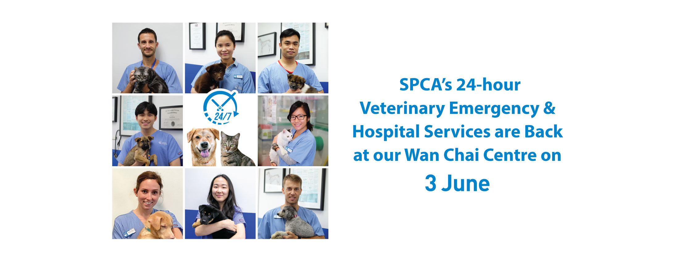 vetservice_reopen_web_3