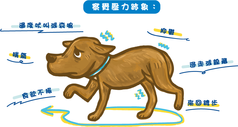 PP123_kennel-dog-chi