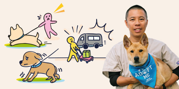 bnt_GoodDogCitizenWorkshop_700x350