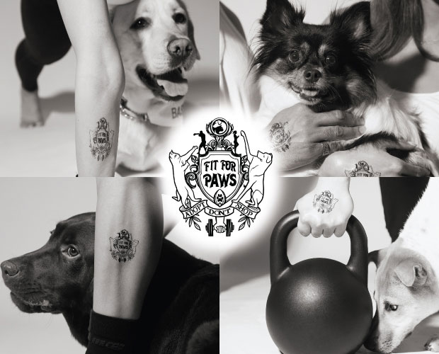 FitForPaw_new_webbanner_620x500