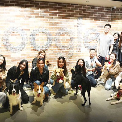 pp124_Bring_Your_Dog_to_Work_p5