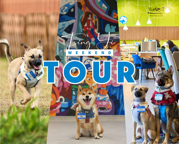 TY-weekend-tour-website-banner620x500