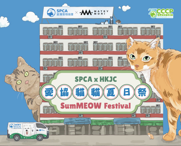 SumMeow-website-banner-620x500