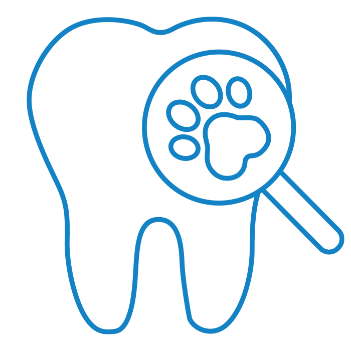 icon_dental_check_700