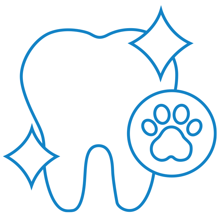 icon_dental_clear_700
