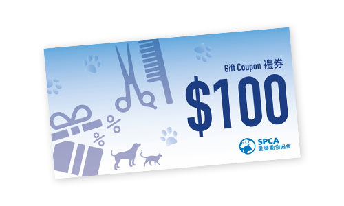 member_coupon_2025_x1