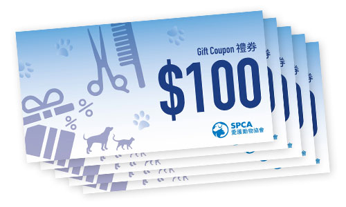 member_coupon_2025_x5