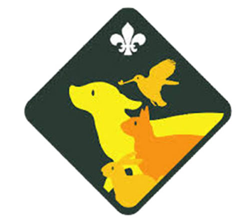 cub-scoutbadge_blue_output