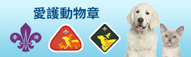 scout_top_banner_tc