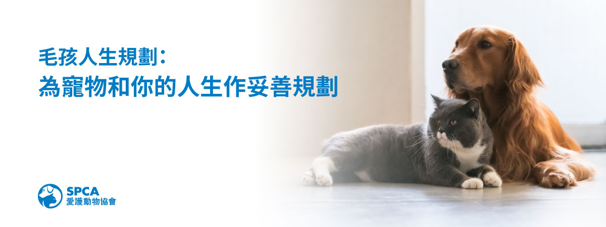 PawstoPlan_1200x450_TC