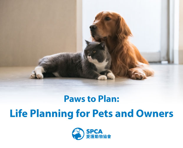 PawstoPlan_620x500_EN