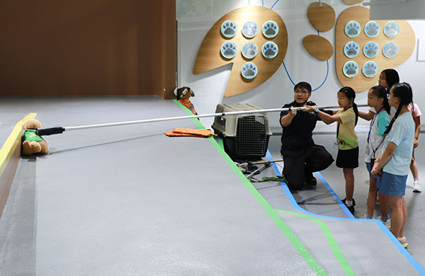 summer_camp_p8_600x390