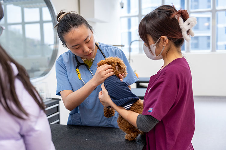 10-Min-Pet-Wellness-Check_vis