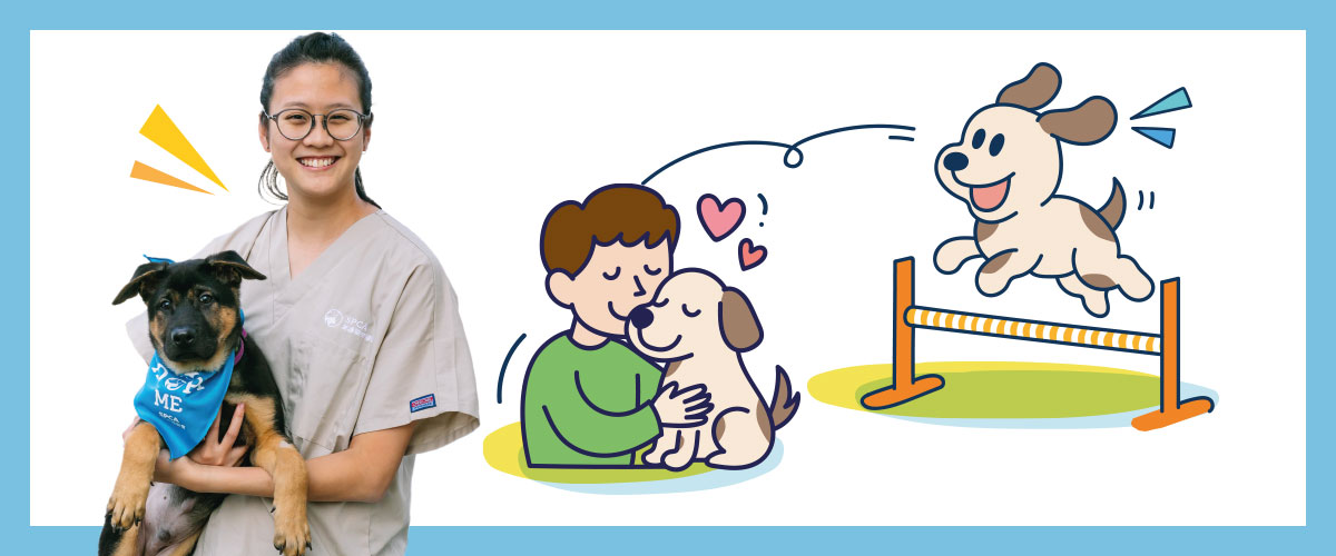 Dog_Agility_Workshop_topbanner_1200x500