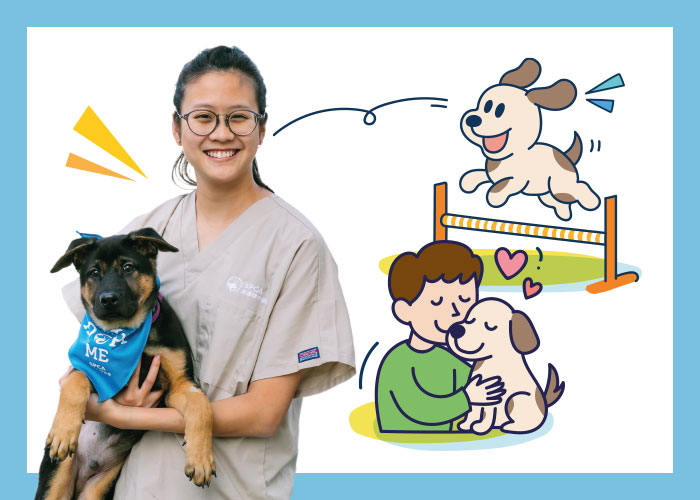 Dog_Agility_Workshop_topbanner_700x500