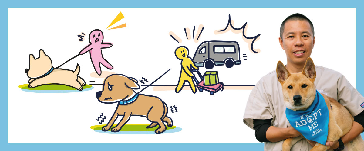 bnt_GoodDogCitizenWorkshop_1200X500