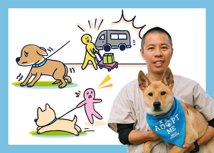 bnt_GoodDogCitizenWorkshop_700x500