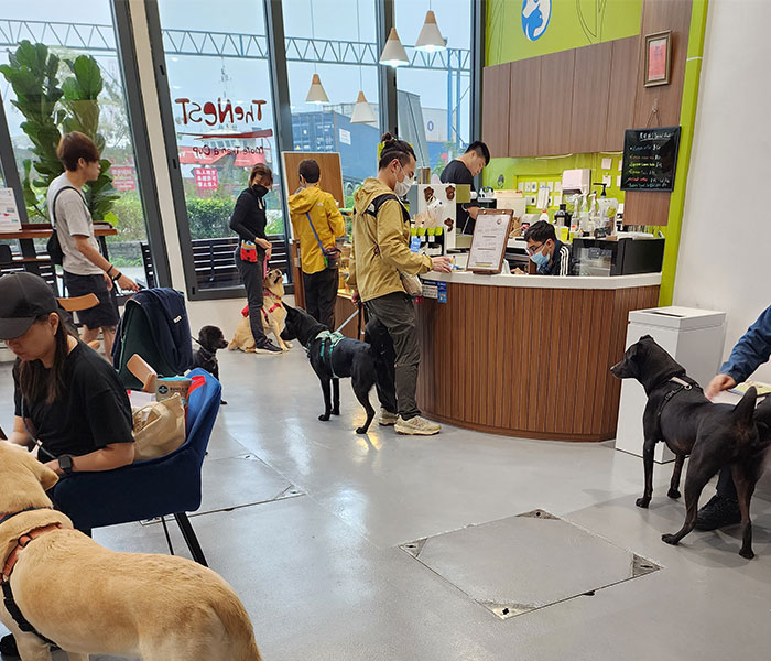 bnt_GoodDogCitizenWorkshop_p3_700x500