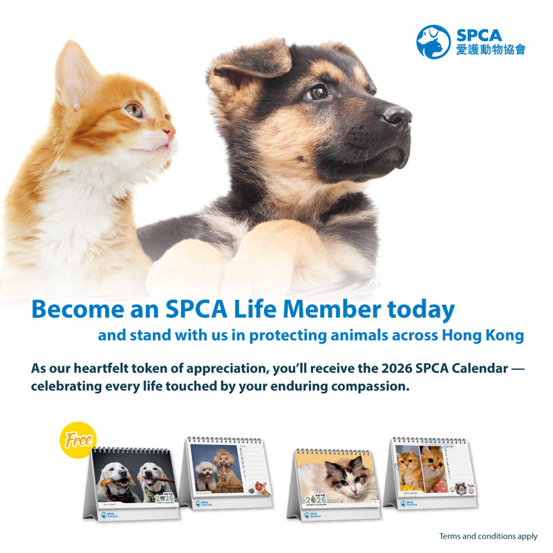 Mem_Dec2025_LifeMember_popup_EN