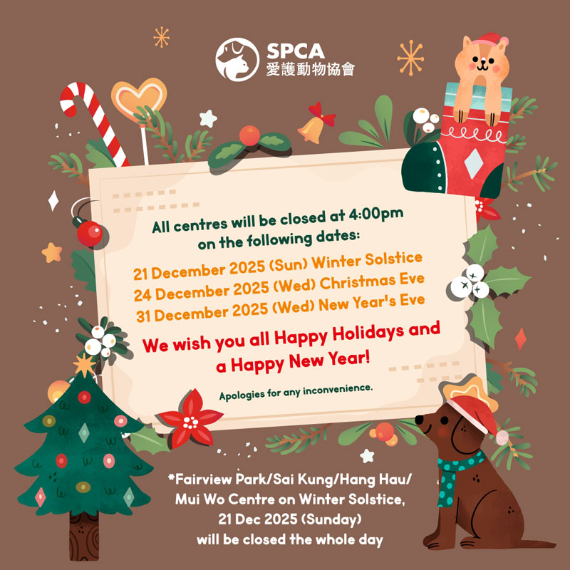 Xmas-Early-Departure-square-2025_EN-2